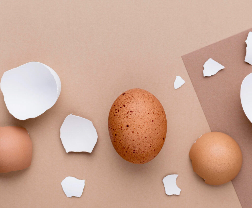 Les œufs sont des protéines peu coûteuses et riches en cholestérol alimentaire